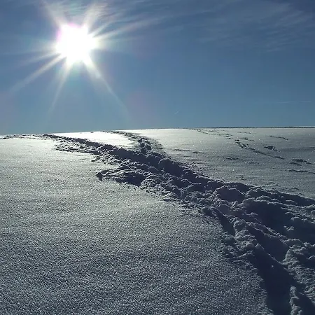 酒店 基利安酒店 3*
