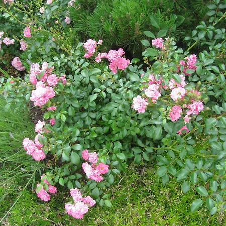 基利安酒店 酒店 3*